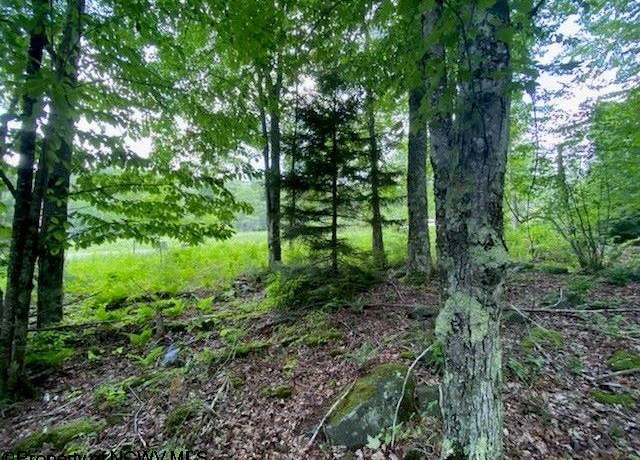 Property at Lot 33 Canal, Davis, WV 26260