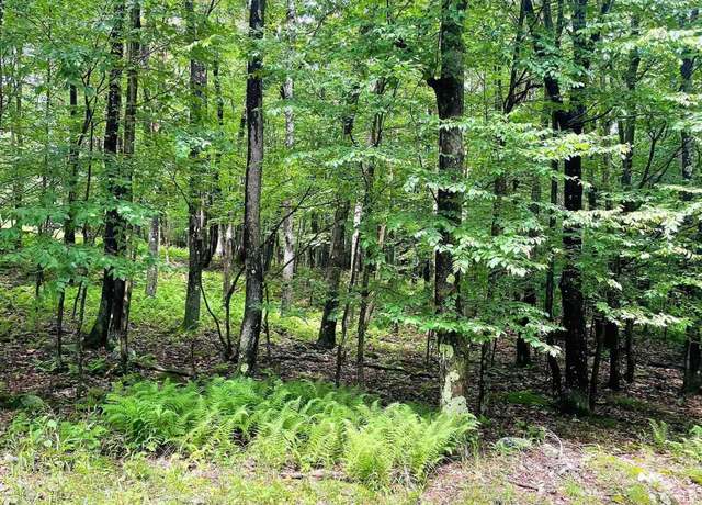 Property at Lot 120 Hemlock, Terra Alta, WV 26764