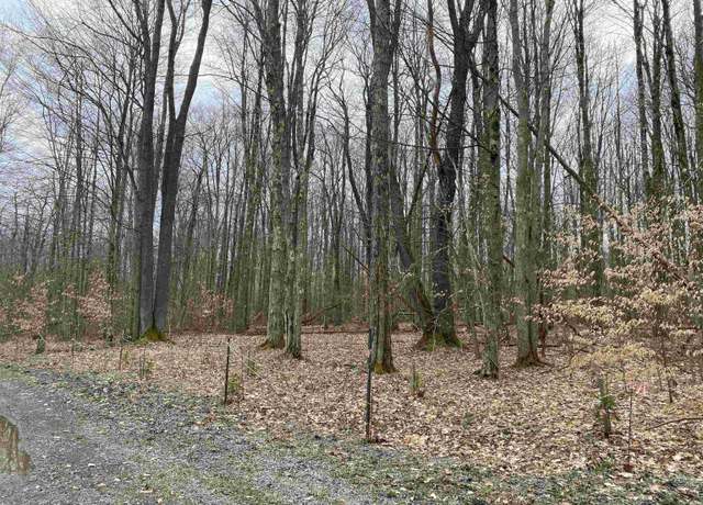 Property at lot 42 Bobcat, Davis, WV 26260