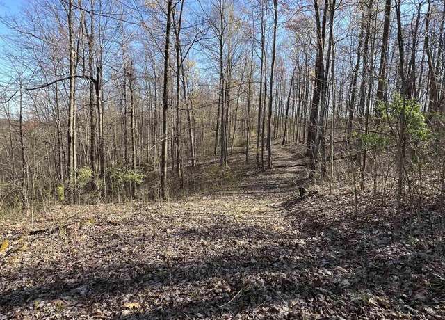 Property at 0 Wolf Pen, Crawford, WV 26343