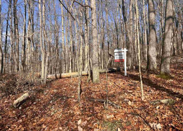 Property at TBD Beech, Belington, WV 26283