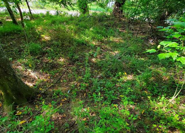 Property at TBD Hendricks Hl, Hambleton, WV 26269