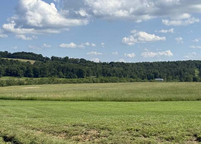 Property at 20 Acres Clifton Salem, Bruceton Mills, WV 26525