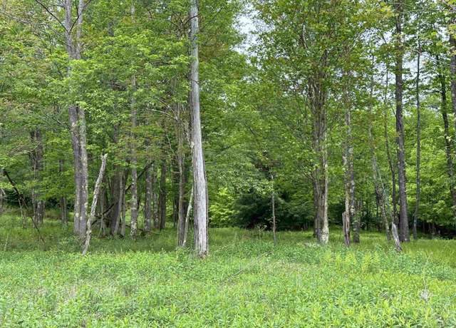 Property at Lot 68 Venice, Davis, WV 26260