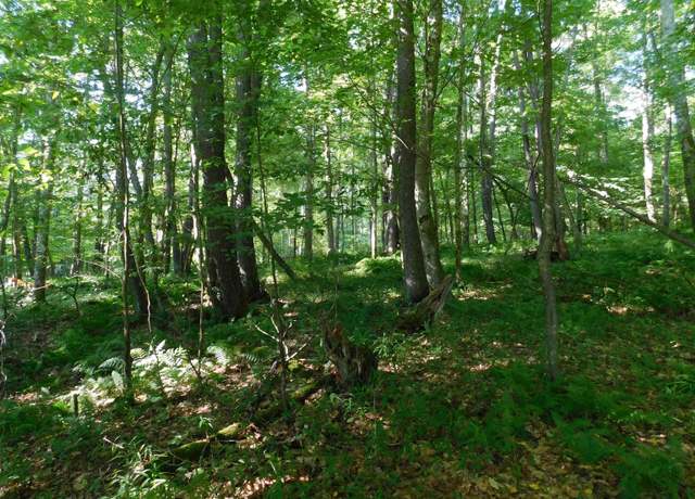 Property at Lot 9 Cherry Wood, Terra Alta, WV 26764