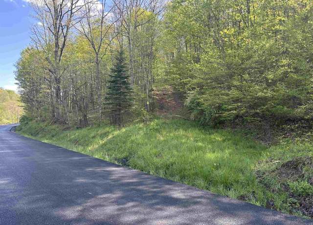 Property at TBD Brushy Frk, Wadestown, WV 26575