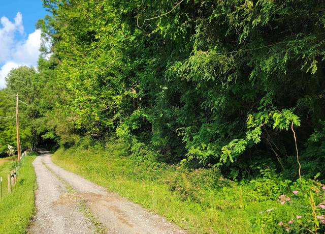Property at 0 Criss Run, Philippi, WV 26416