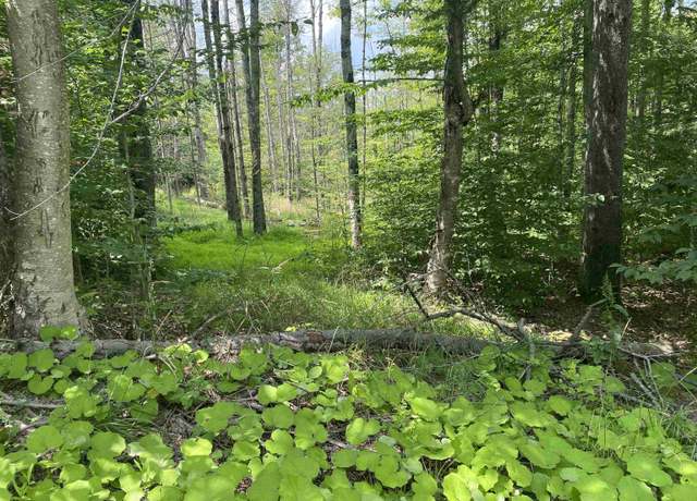 Property at Lot 60 Brookeside, Davis, WV 26260