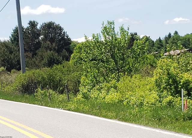 Property at 215 Courtland, Davis, WV 26260