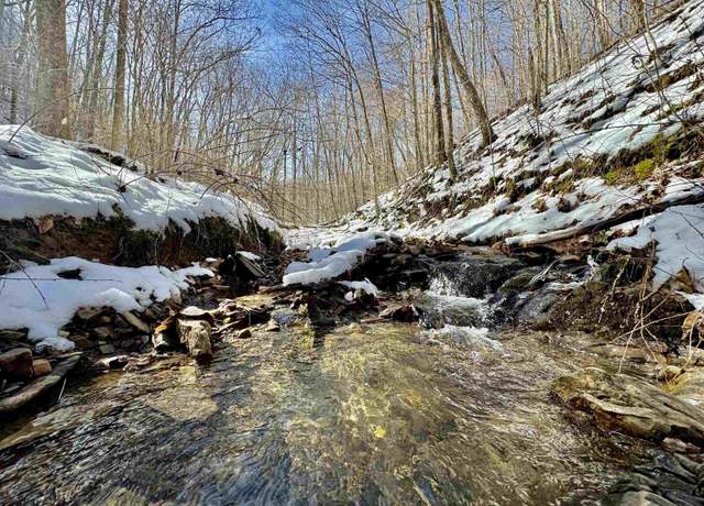 Property at TBD Mcatee, Huttonsville, WV 26273