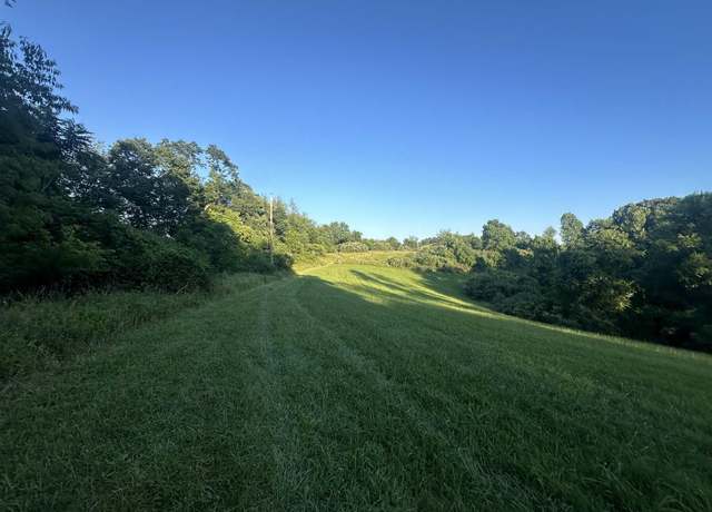 Property at TBD Stone Coal, Lost Creek, WV 26385
