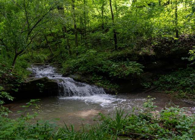 Property at TBD Long Run, Worthington, WV 26591