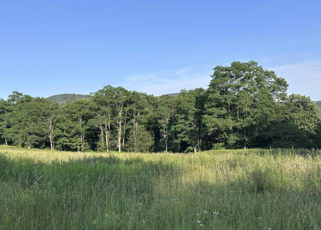 Property at Lot 1003 Sunset Mtn, Slaty Fork, WV 26291