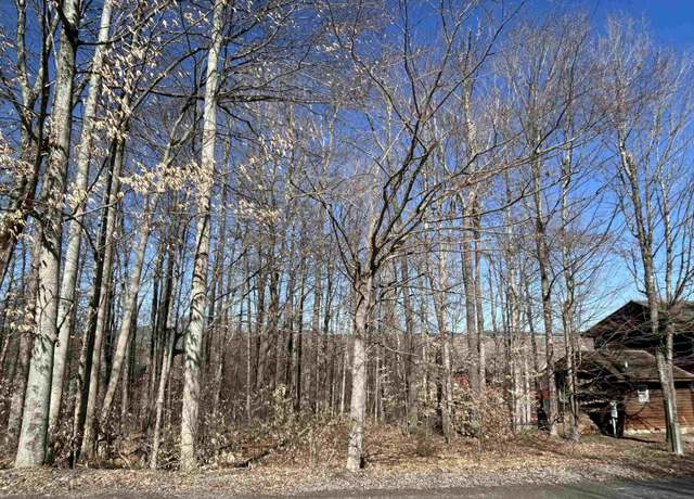Property at Lot 16 Winters Edge, Davis, WV 26260