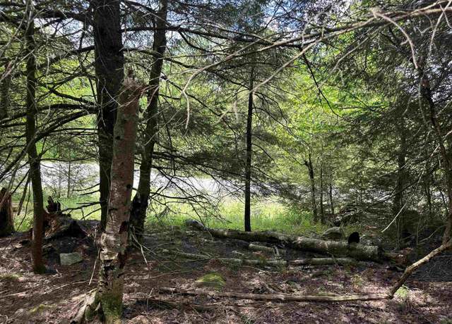 Property at Lot 96 Gondola, Davis, WV 26260