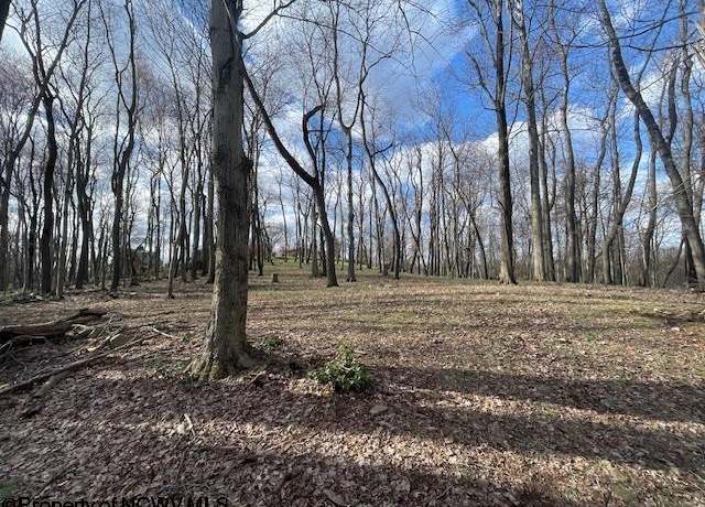 Property at 0 S Pierpont, Morgantown, WV 26508