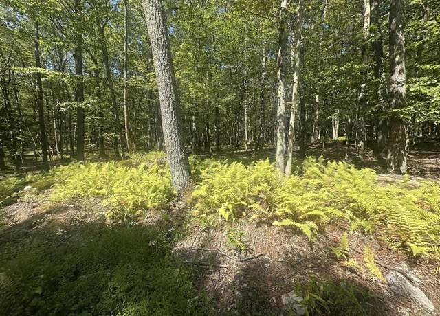 Property at 47 Day Lily, Terra Alta, WV 26764