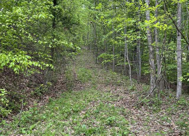 Property at 0 Route 65, Heaters, WV 26621