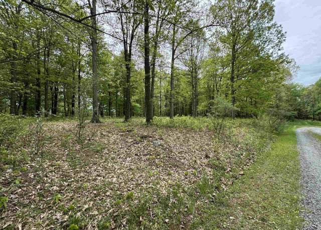 Property at Lot 29 Oak, Albright, WV 26519