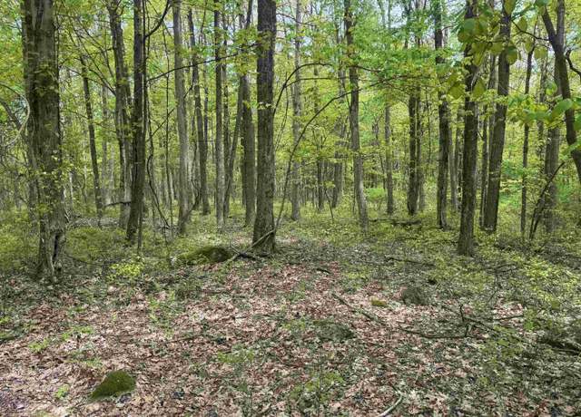 Property at Lot 30 Oak, Albright, WV 26519