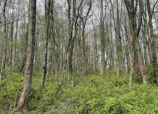 Property at Lot 28 Hobbits Glenn, Masontown, WV 26542