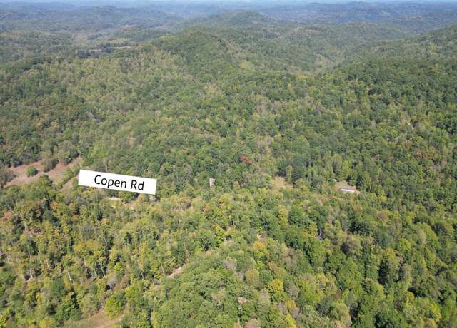 Property at 3219 Copen Rd, Copen, WV 26615