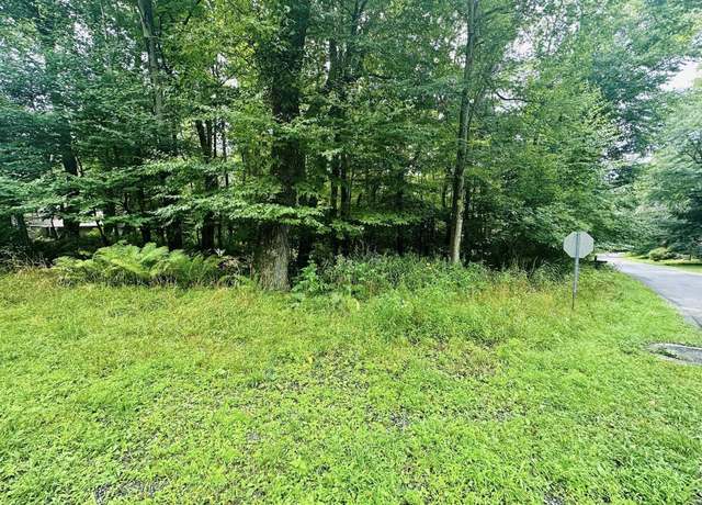 Property at Lot 142 Dogwood, Terra Alta, WV 26764