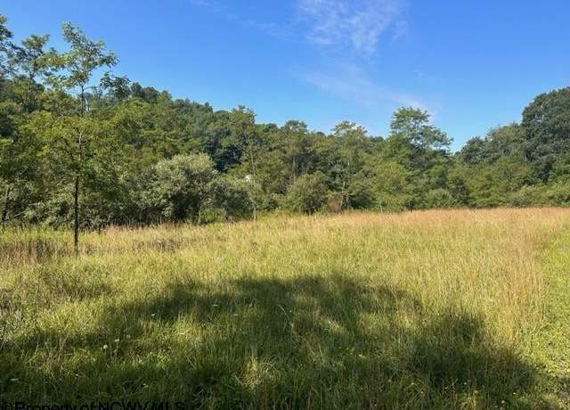 Property at Lot 1 Trail Vw, Masontown, WV 26542