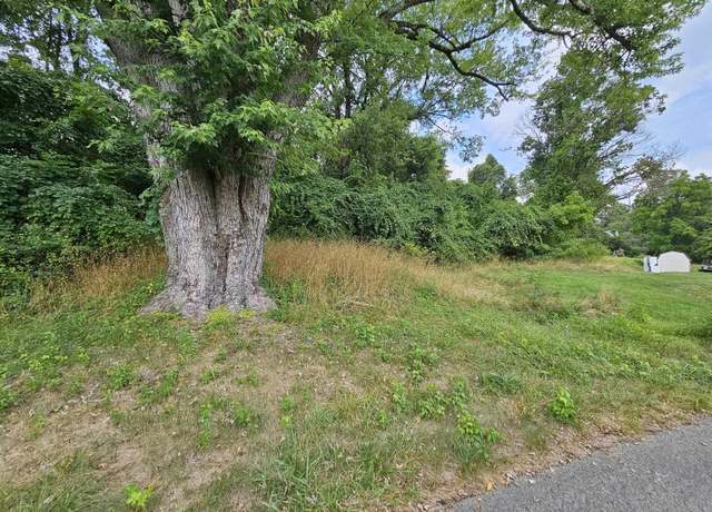 Property at 113 W Knotts Ave, Grafton, WV 26354