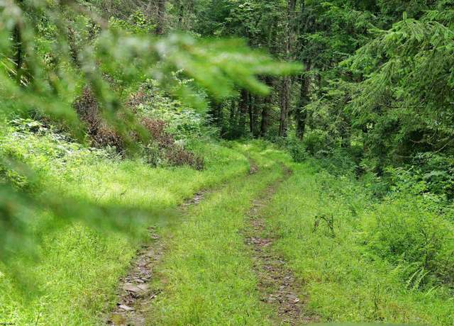 Property at 4304 Sinclair Rdg, Rowlesburg, WV 26425