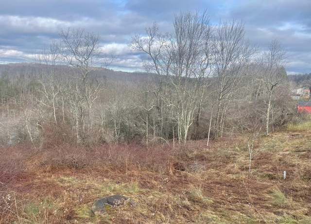 Property at TBD Bunker Hl, Thomas, WV 26292