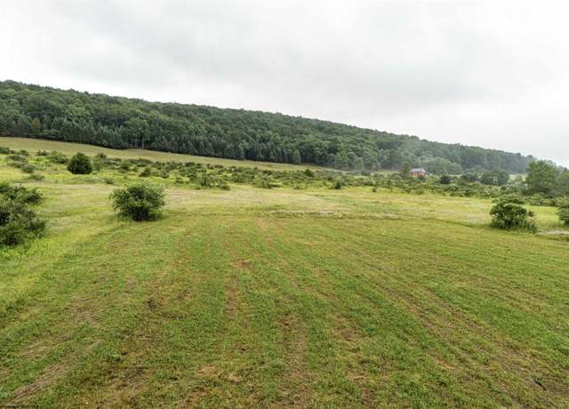 Property at TBD Snowy Crk, Terra Alta, WV 26764
