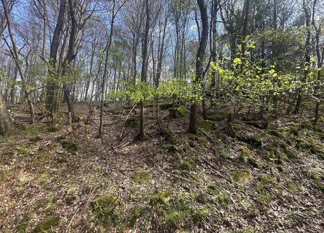 Property at Lot 94 Day Lily, Terra Alta, WV 26764