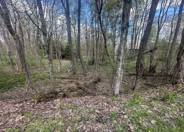Property at LOT 57 and 58 Chestnut, Terra Alta, WV 26764