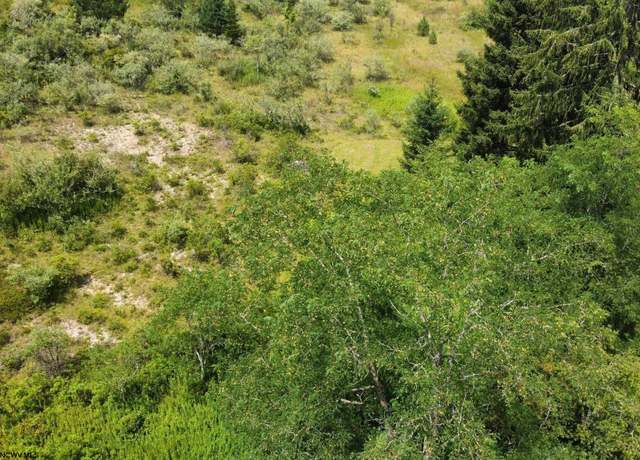 Property at 57 Bluebird, Terra Alta, WV 26764