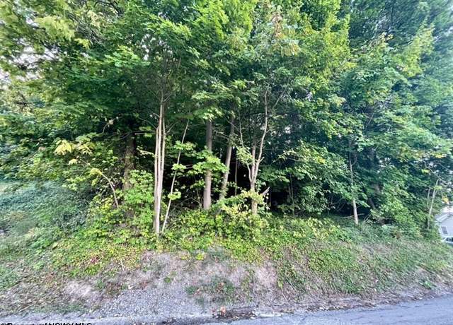 Property at Parcel 312 Lorentz, Morgantown, WV 26505