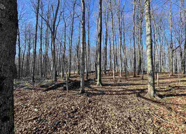 Property at TBD Pup Run, Fairmont, WV 26554