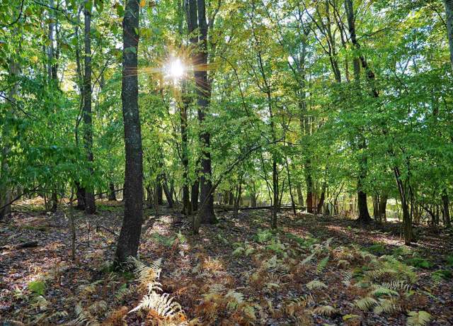 Property at TBD E Alpine, Terra Alta, WV 26764