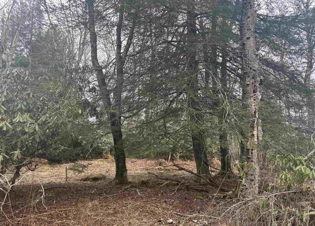 Property at Lot 4 Medici, Davis, WV 26260