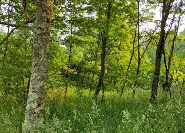 Property at TBD Freeland, Terra Alta, WV 26764
