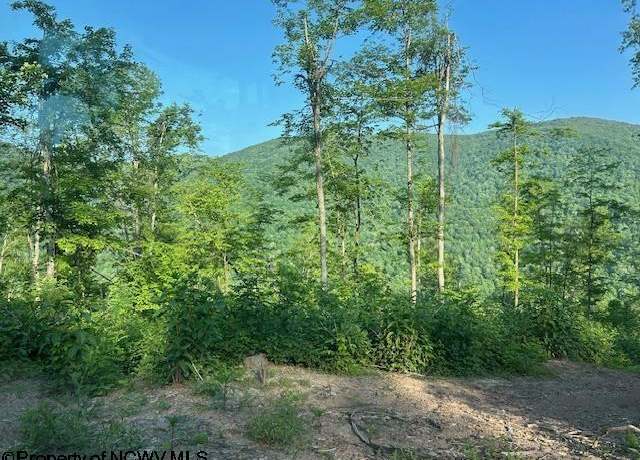 Property at TBD Cheat Vly, Parsons, WV 26287