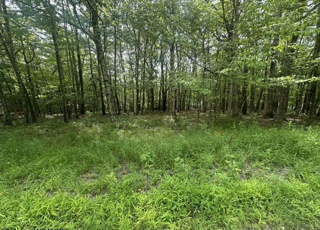 Property at Lots 85 and 86 Lakeview, Terra Alta, WV 26764