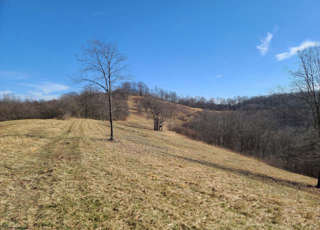 Property at 1931 Saint Leo Rd, Wana, WV 26590