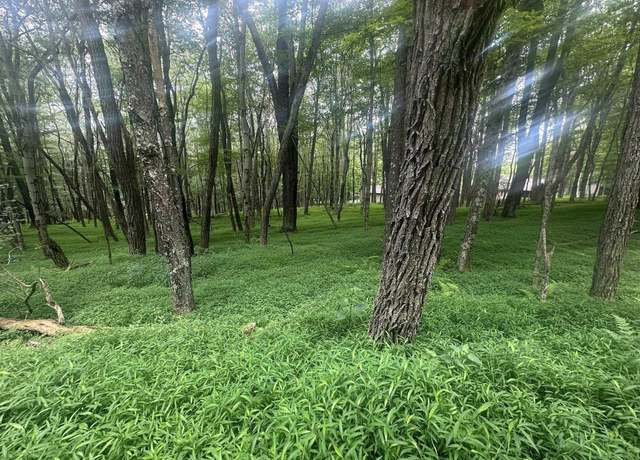 Property at Lots 96 & 97 Bluebird, Terra Alta, WV 26764