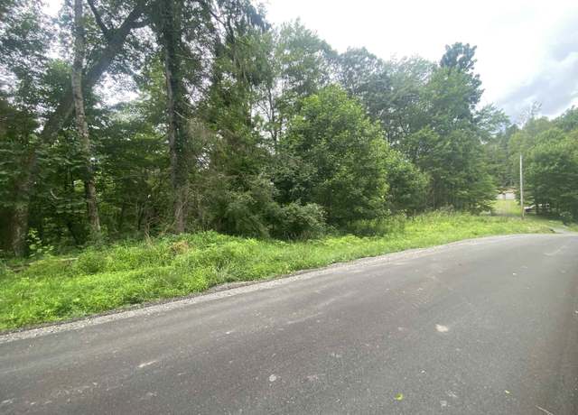 Property at TBD Limestone, Parsons, WV 26287
