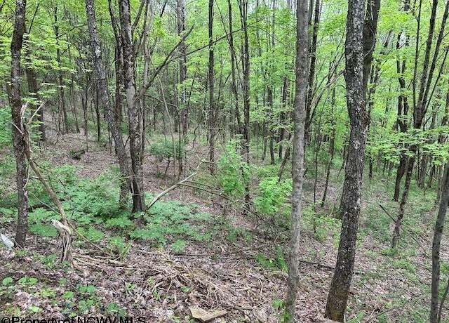 Property at TBD Moyer Holw, Elkins, WV 26241