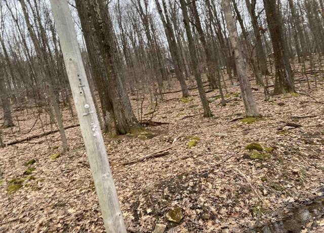 Property at TBD Pond Lilly, Terra Alta, WV 26764