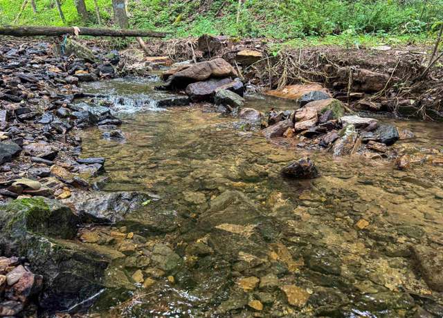 Property at TBD Laurel Dl, New Creek, WV 26743