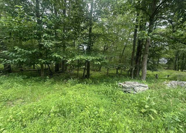 Property at Lot 224 Woodbine, Terra Alta, WV 26764