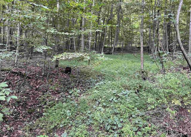 Property at 917 Mudlick Run, Fairmont, WV 26554